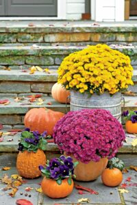 Fall Curb Appeal - Update Flowers 